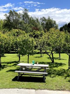 Midcentury Lookout - Tasman - 1