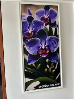 Hostal Orquideas de Auri - Necoclí - 3