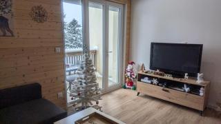 Appartement 3 étoiles, meublé, 45m2, station, fibre, Netflix, Disney plus, garage - Laveissière - 5