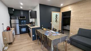 Appartement 3 étoiles, meublé, 45m2, station, fibre, Netflix, Disney plus, garage - Laveissière - 7