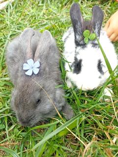 Isola Natura Farm Retreat Sardinia - 8