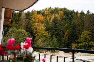 Apartma Rogla Relax - Oplotnica - 9