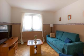 Apartma Rogla Relax - Oplotnica - 8