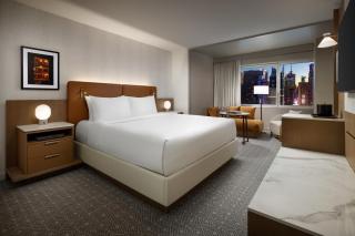 Hyatt Regency Times Square - 1