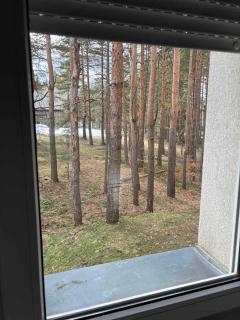 Apartman Šumski San - Divčibare - 4