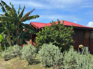 Ecolodge Anacardier -Bungalow Deluxe 1 - Saint-François - 7
