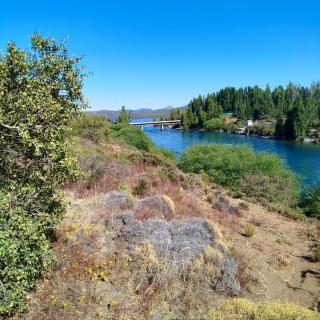 Flores del Limay cabañas - Dina Huapi - 2