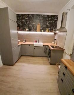 Villa apartments Hinterer 2&5 bedrooms - Bad Goisern - 7