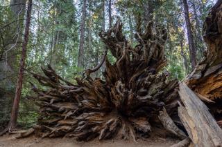 On The 9th - Arnold - 4