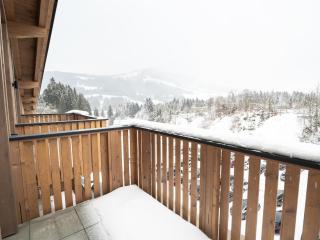 Apartment near Doischberg ski area - Fieberbrunn - 6