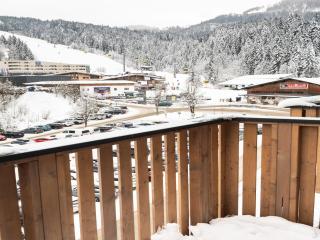 Apartment 50 m from Obingleitn ski lift - Fieberbrunn - 4