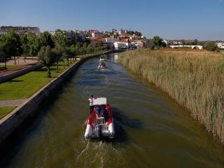 Apartment with one room in Albufeira - Albufeira - 8