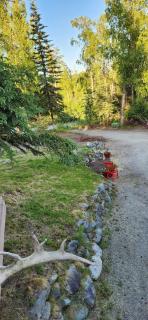 Soldotna Alaska 1 bedroom Split Level Guesthouse - 1