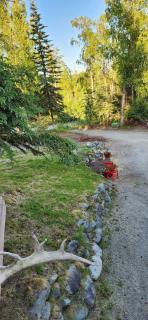 Soldotna Alaska 1 bedroom Split Level Guesthouse - 7