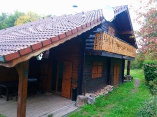 Chalet spacieux près de Gérardmer avec terrasse, verger et activités montagne - FR-1-589-121 - 1