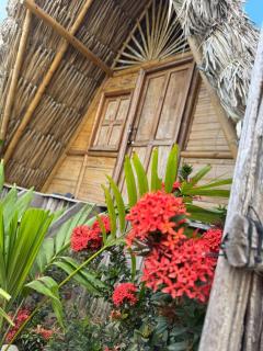 Awala Beach Club - Ríohacha - 9