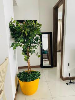 Metcalfe Two Bedroom Suite - Kingston - 9