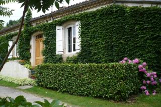 Chambre d'hôtes En Saubis - - 9