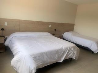 Dormis Sinsacate - 6