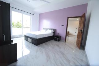 Blackpool Complex - Lavender - 5