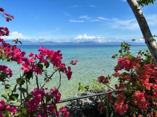 Nature Seaview - Saavedra - 2