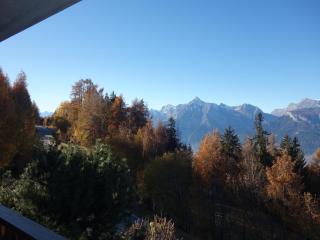 Marvelous apartment with balcony - Agettes - 4