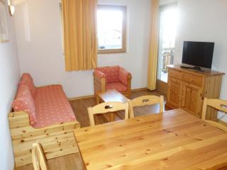 Amazing apartment with terrace - Nendaz - 2