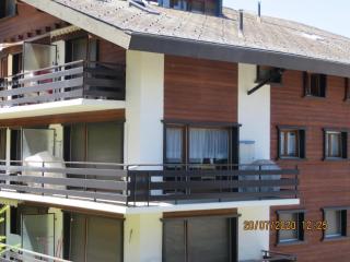 Cosy apartment in a central location - Veysonnaz - 0