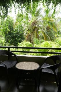 Tropical Plant Villa - Tangalle - Tangalle - 5