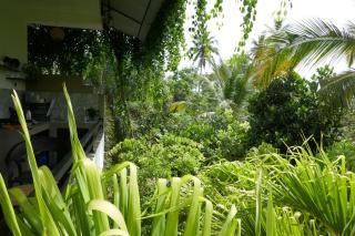 Tropical Plant Villa - Tangalle - Tangalle - 6