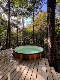 Fantail Bush Chalet - Parakakau - 9