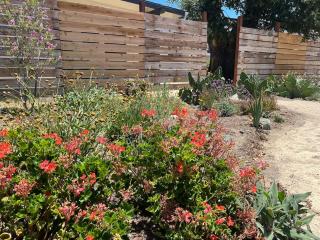 Snap-Worthy Stay Steps From Downtown 1BR 1BA - Solvang - 9