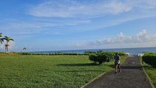 Calypso Villa - 2Bedrm 2Bathrm Pool View & Beach 203 - Montego Bay - 5