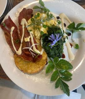Pheasant Lodge - Paparoa - 8