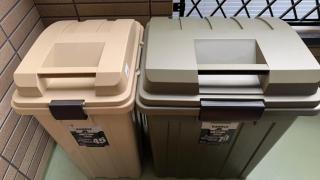 Cherry - Fukuoka - 1