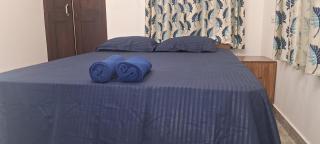 Kuttappy dreams - Alleppey - 1