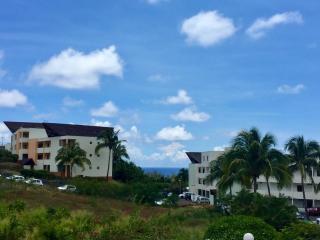 Boucan vue mer et manguiers - 0