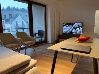City Centre Suite Vrchlabí - Vrchlabí - 9