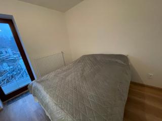 City Centre Suite Vrchlabí - Vrchlabí - 5