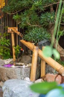 Sunflower Hotel 201 - 1