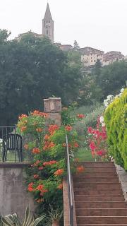 Agriturismo Poponi - Todi - 4