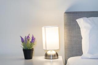 Palatial 4BR 2BA Sunnybank Family Retreat - 3