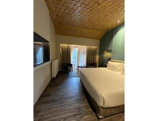 Hotel Pride Resort, Gulmarg - Gulmarg - 4