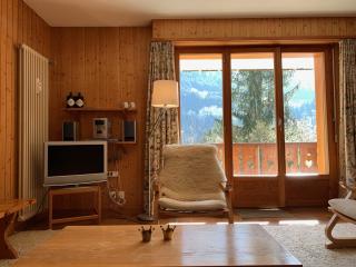 Bel Air C27 - Champéry - 6