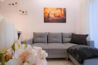 Laguna Beskidów Resort - Apartament Perłowy Wellness - Bierna - 9