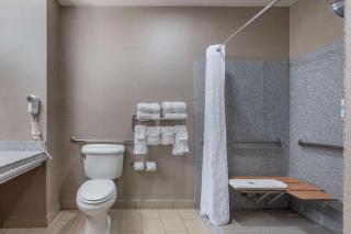 Comfort Suites Boise West Meridian - 2