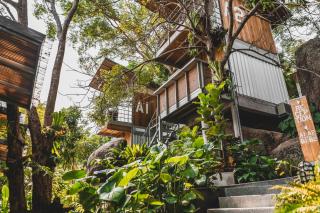 Shiva Lodge - Ko Tao - 0
