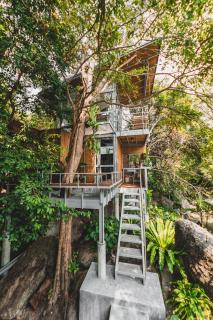 Shiva Lodge - Ko Tao - 7