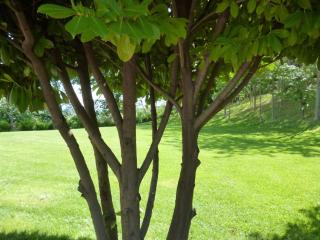 Agriturismo Vivace - 6