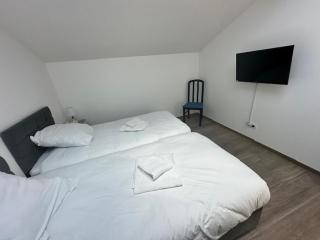 Maison 90 avec 8 chambres lechaffardcom - Satolas-et-Bonce - 6